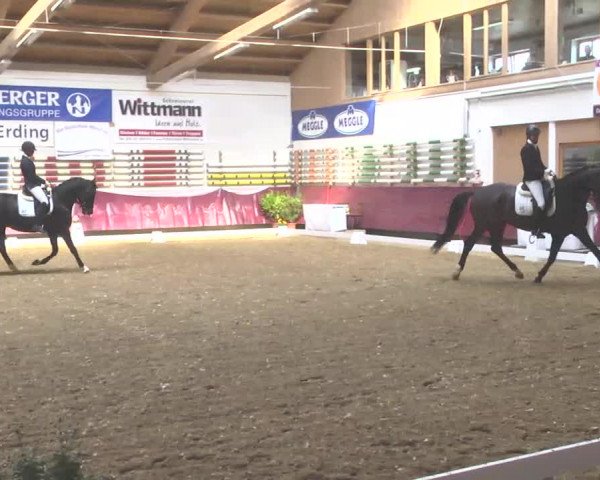 Reitturnier Eicherloh RH Laurent 2017