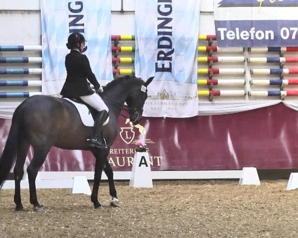 Reitturnier Eicherloh RH Laurent 2017