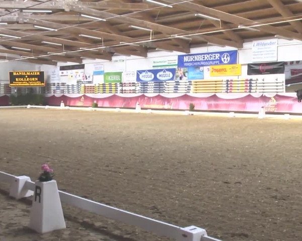 Reitturnier Eicherloh RH Laurent 2017