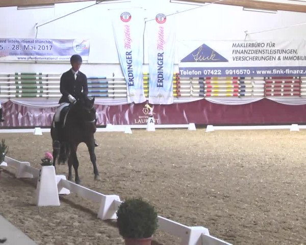 Reitturnier Eicherloh RH Laurent 2017