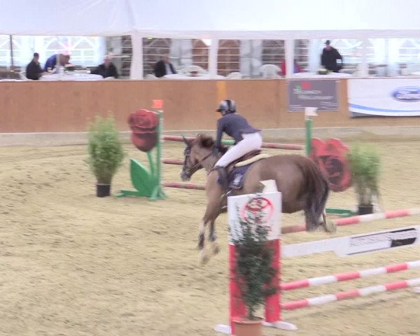 Rosendorf Classics 2017 Seppenrade