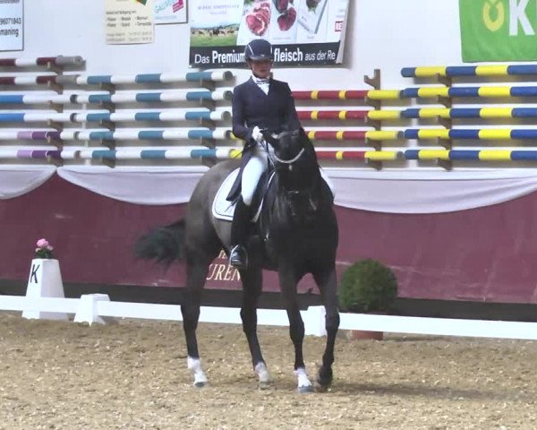 Reitturnier Eicherloh RH Laurent 2017