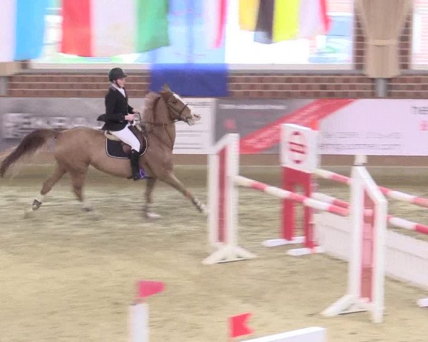 Rosendorf Classics 2017 Seppenrade