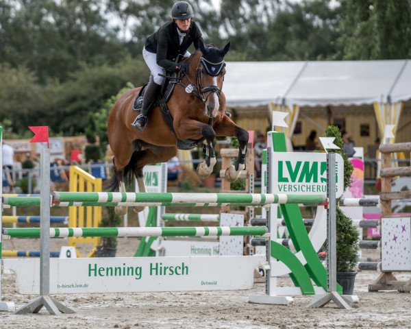 broodmare Cortana S (Oldenburg show jumper, 2014, from Casino Berlin OLD)