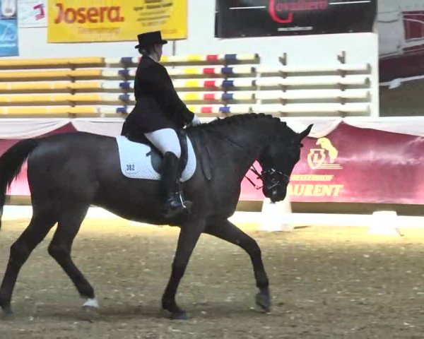 Reitturnier Eicherloh RH Laurent 2017