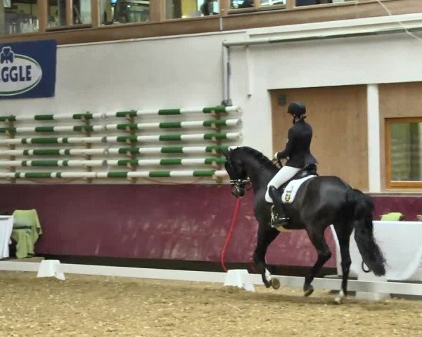 Reitturnier Eicherloh RH Laurent 2017