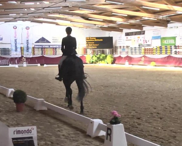 Reitturnier Eicherloh RH Laurent 2017