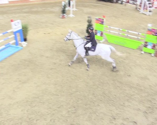 Rosendorf Classics 2017 Seppenrade