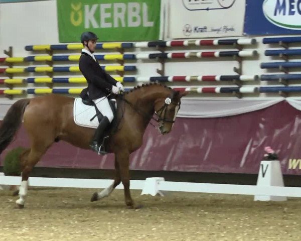 Reitturnier Eicherloh RH Laurent 2017