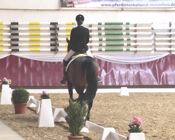 Reitturnier Eicherloh RH Laurent 2017