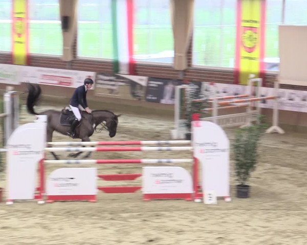 Rosendorf Classics 2017 Seppenrade