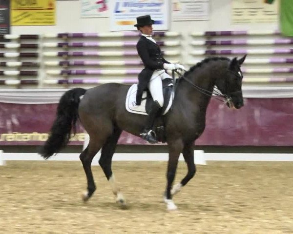 Reitturnier Eicherloh RH Laurent 2017