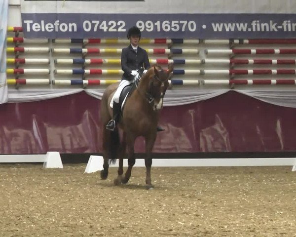 Reitturnier Eicherloh RH Laurent 2017