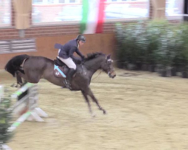 Rosendorf Classics 2017 Seppenrade