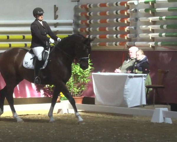 Reitturnier Eicherloh RH Laurent 2017