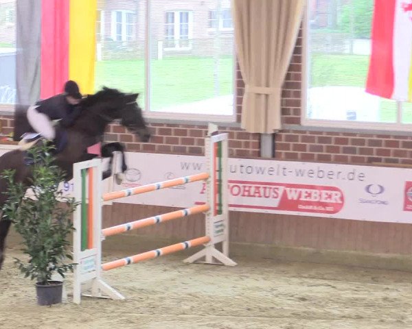 Rosendorf Classics 2017 Seppenrade