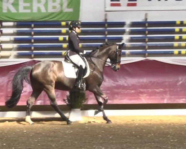Reitturnier Eicherloh RH Laurent 2017