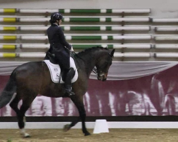 Reitturnier Eicherloh RH Laurent 2017