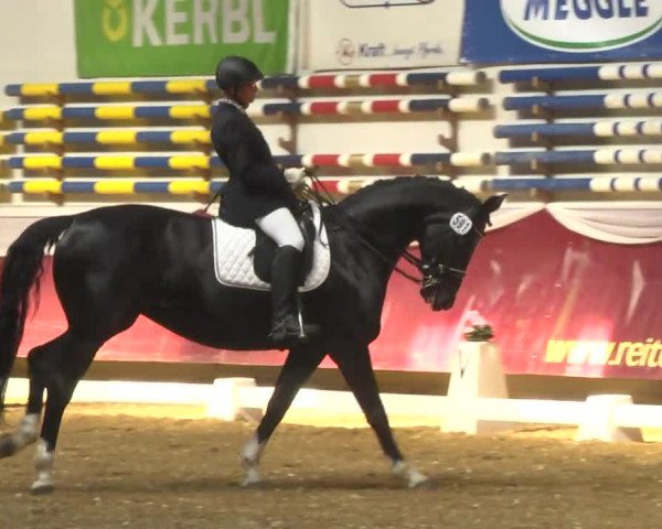 Reitturnier Eicherloh RH Laurent 2017