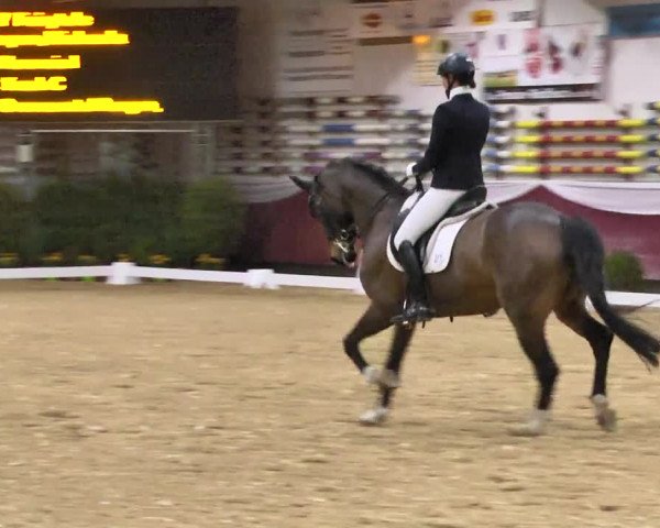Reitturnier Eicherloh RH Laurent 2017