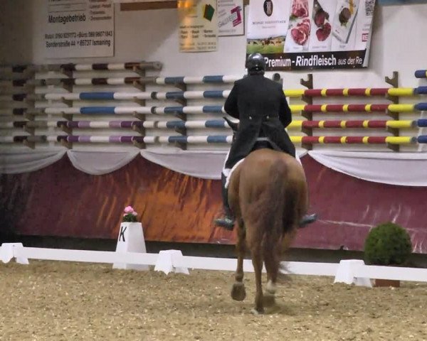 Reitturnier Eicherloh RH Laurent 2017
