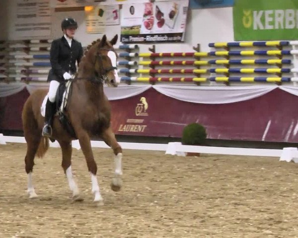 Reitturnier Eicherloh RH Laurent 2017