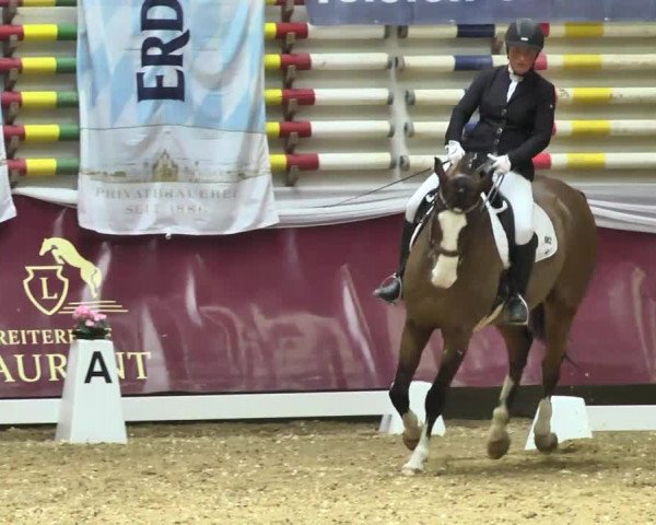 Reitturnier Eicherloh RH Laurent 2017