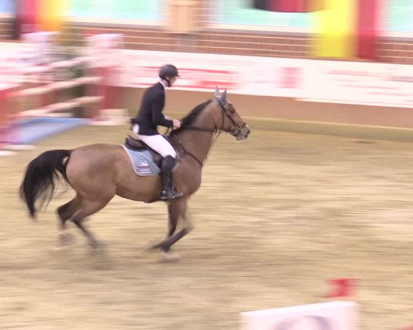 Rosendorf Classics 2017 Seppenrade