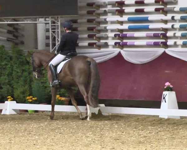Reitturnier Eicherloh RH Laurent 2017