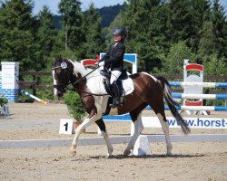 jumper Samber 10 (Pony without race description, 2006)
