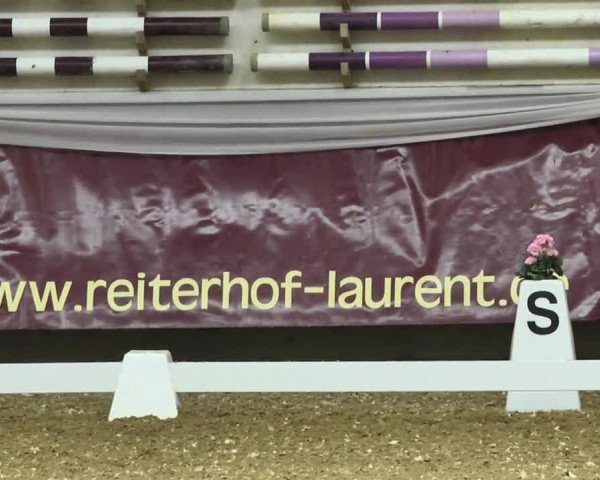 Reitturnier Eicherloh RH Laurent 2017