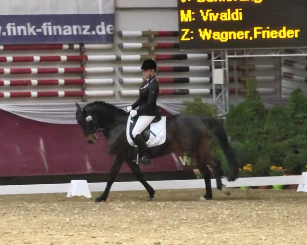 Reitturnier Eicherloh RH Laurent 2017