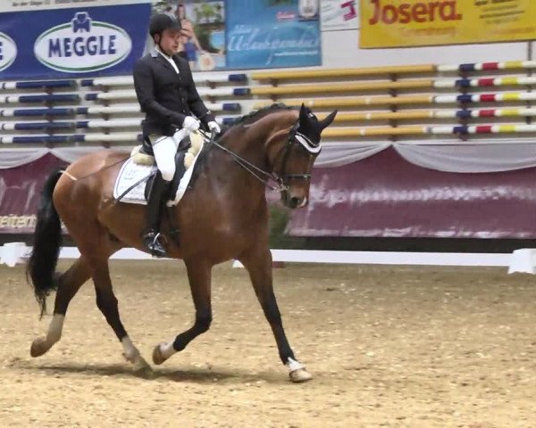Reitturnier Eicherloh RH Laurent 2017
