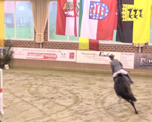 Rosendorf Classics 2017 Seppenrade