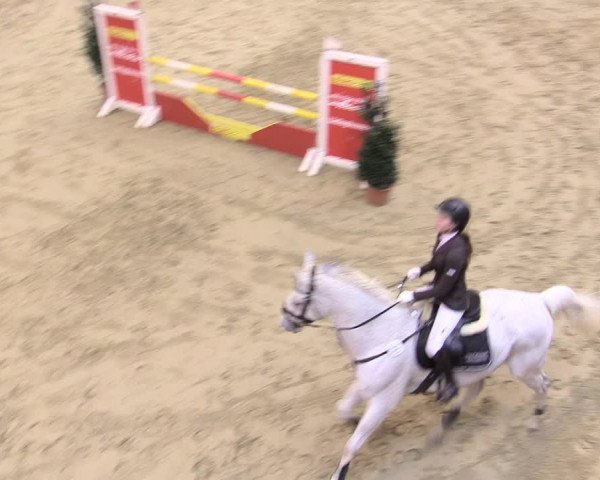 Rosendorf Classics 2017 Seppenrade