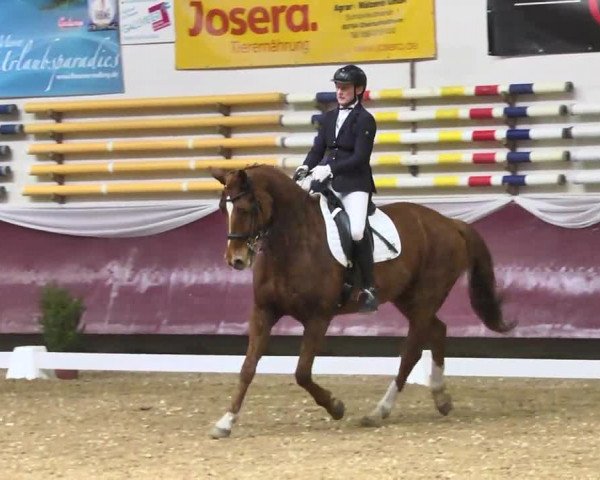 Reitturnier Eicherloh RH Laurent 2017
