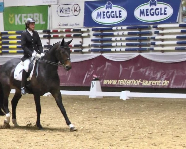 Reitturnier Eicherloh RH Laurent 2017
