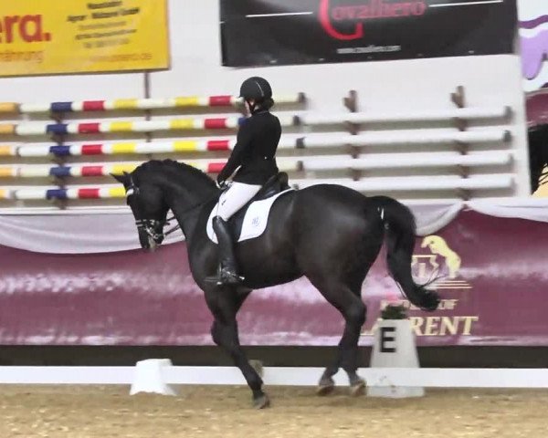 Reitturnier Eicherloh RH Laurent 2017