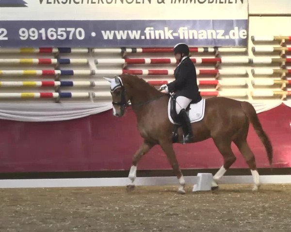 Reitturnier Eicherloh RH Laurent 2017