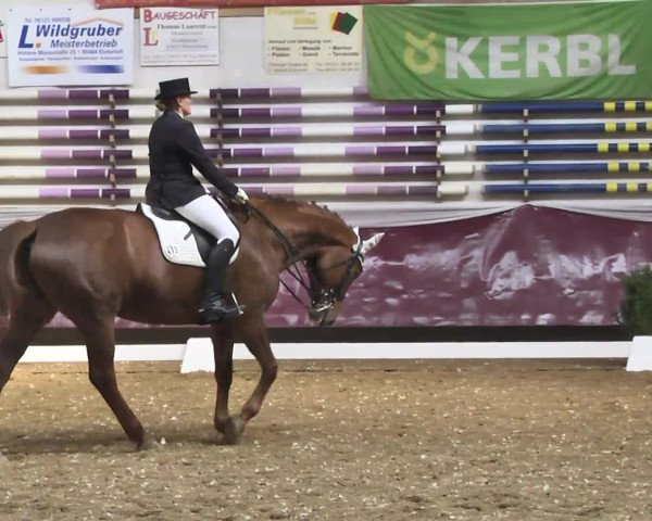 Reitturnier Eicherloh RH Laurent 2017