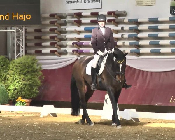 Reitturnier Eicherloh RH Laurent 2017