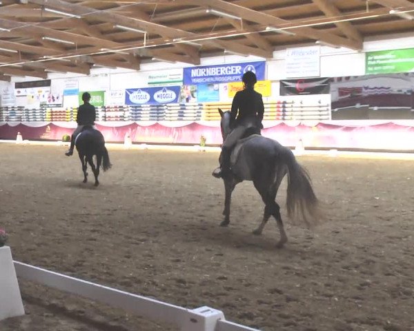 Reitturnier Eicherloh RH Laurent 2017