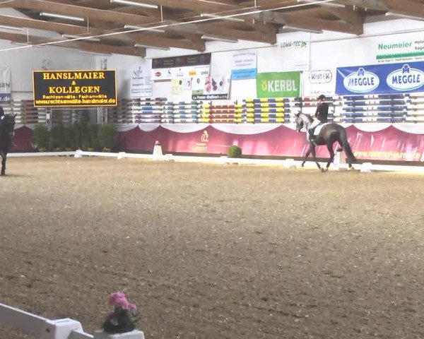 Reitturnier Eicherloh RH Laurent 2017