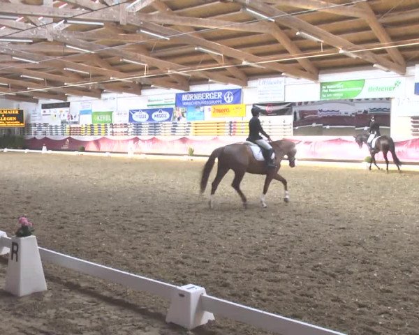 Reitturnier Eicherloh RH Laurent 2017