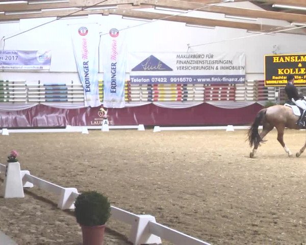 Reitturnier Eicherloh RH Laurent 2017