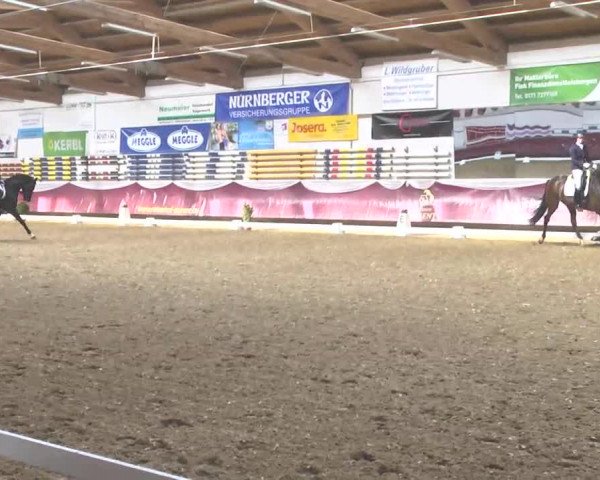 Reitturnier Eicherloh RH Laurent 2017