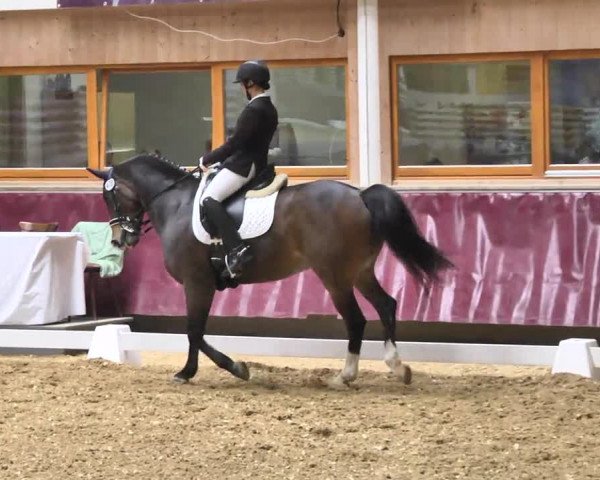 Reitturnier Eicherloh RH Laurent 2017
