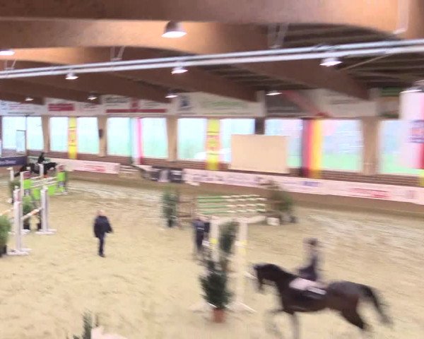 Rosendorf Classics 2017 Seppenrade