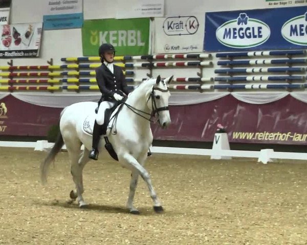 Reitturnier Eicherloh RH Laurent 2017