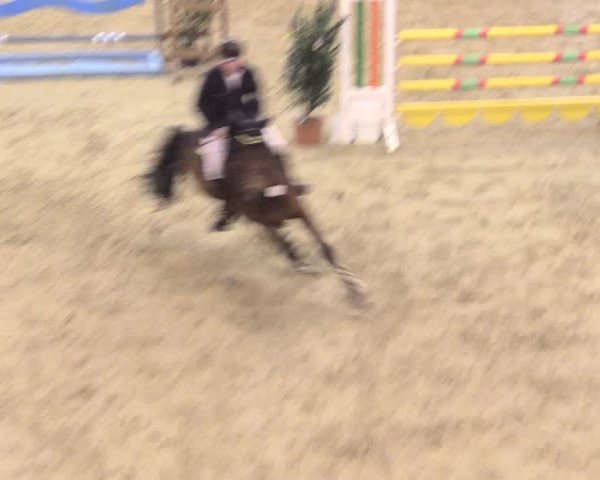 Rosendorf Classics 2017 Seppenrade